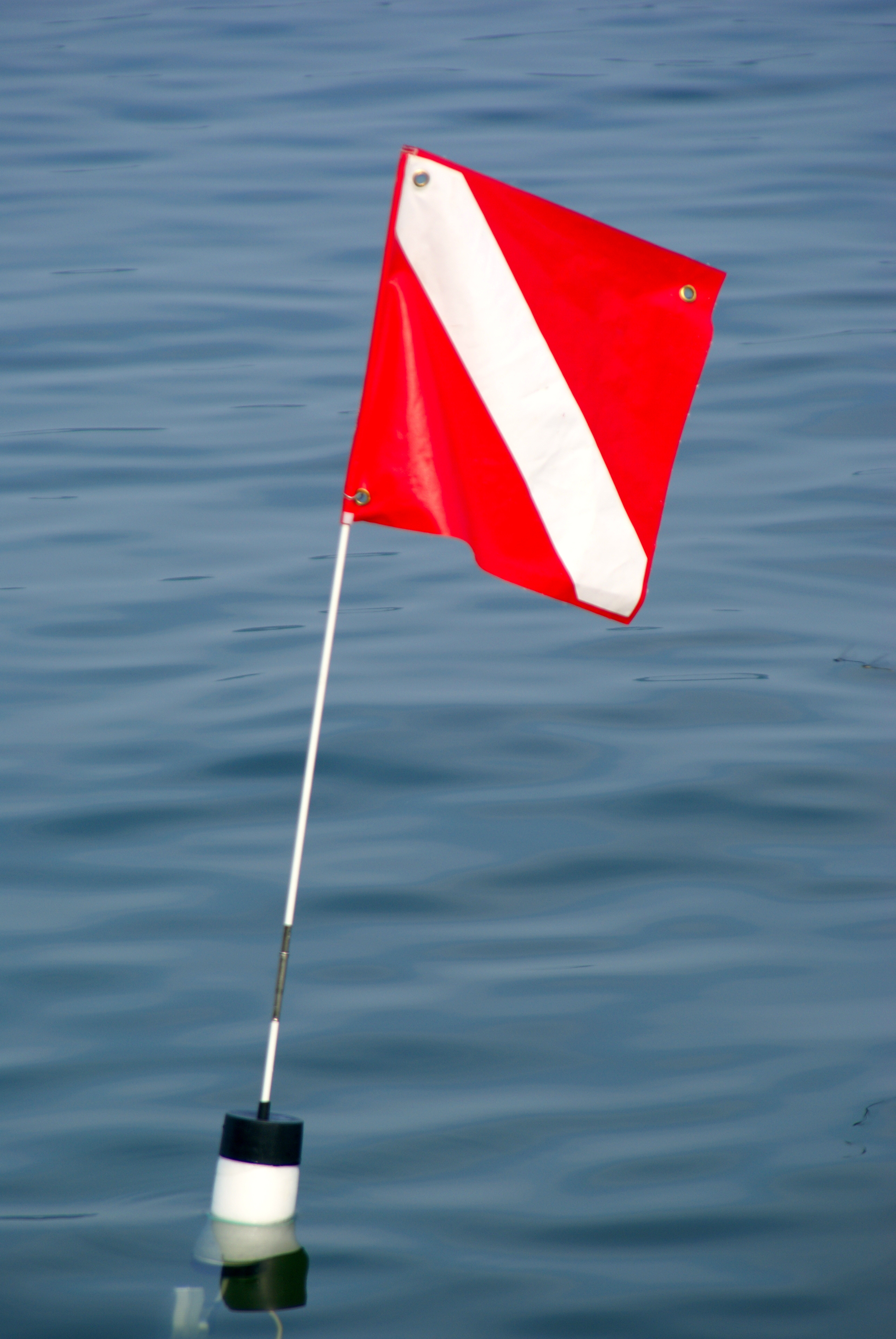 Pactrade Marine Scuba Diving Buoy Dive Flag Kit Easy Fold Store 4